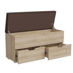 ФЛИНТ Диван (дуб ривьера/коричневый) | фото 2