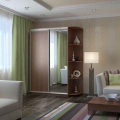 Шкаф-купе Ксения 1600 ЛДСП+Зеркало (ЛДСП 1 кат.) | фото 6